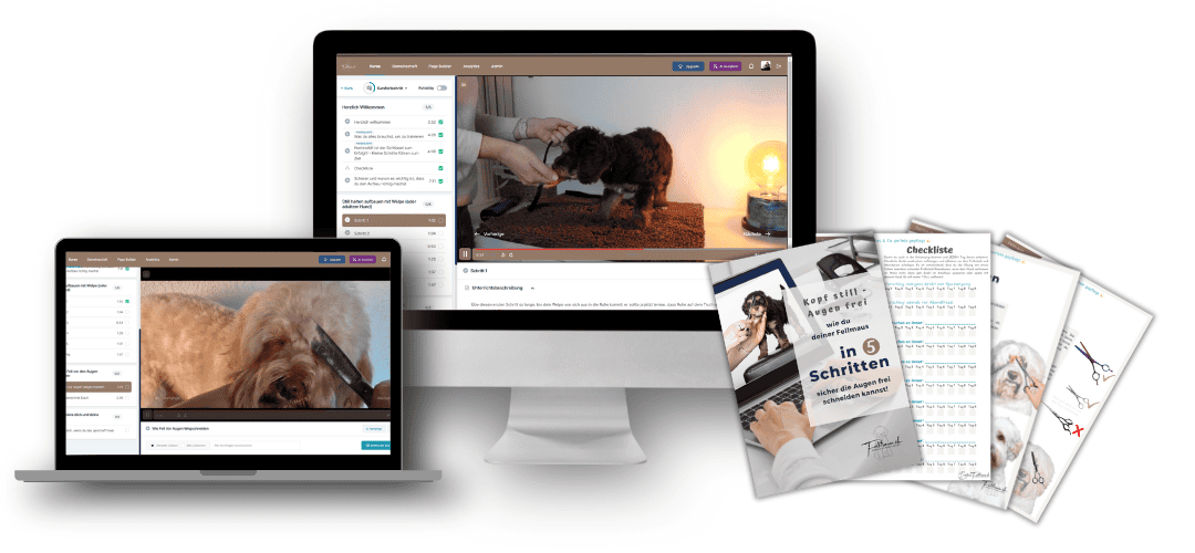 Bilder von Felltraum: Hundetraining, Fellpflege, Tierkommunikation, Hundesitter, Hundeschule.