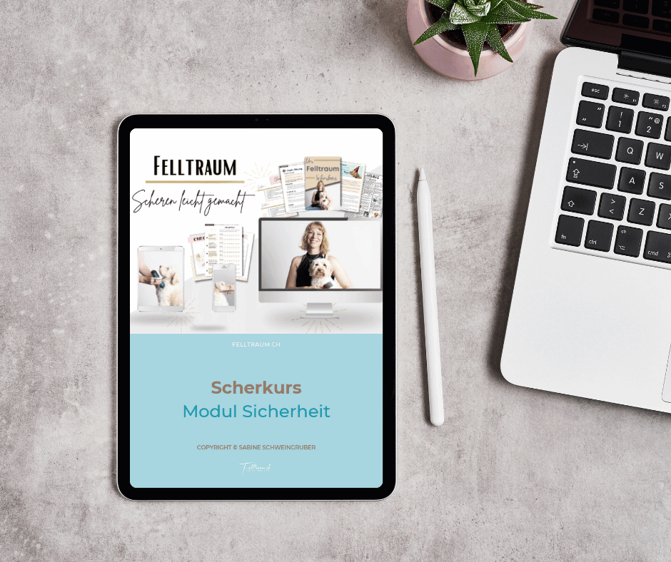 Sicherheits-Online-Kurs auf Tablet mit Felltraum, Hundebeschäftigung, Kursmodule, digitaler Trainingskurs, Hundesicherheit, online Hundetraining, Felltraum.ch.