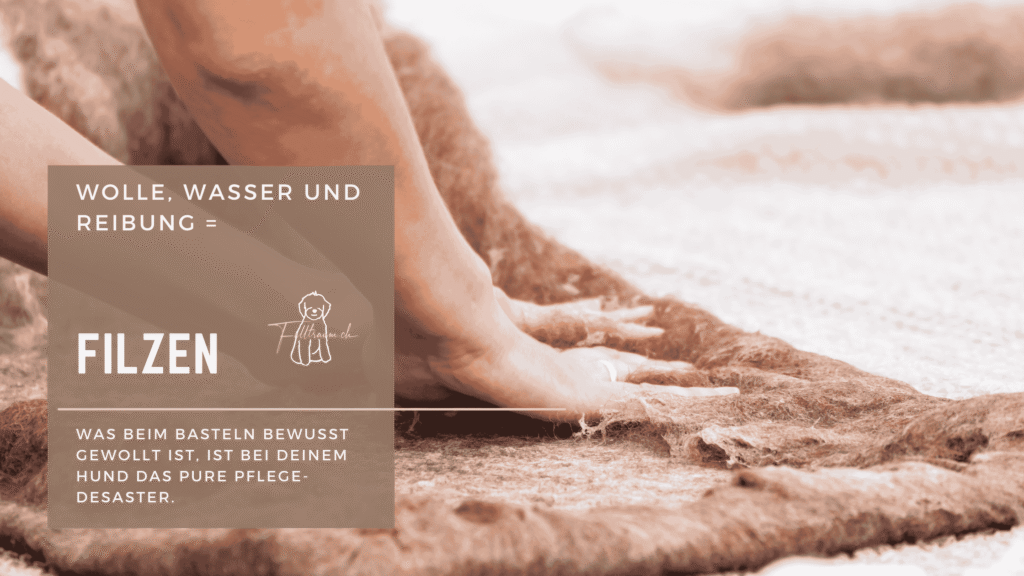 Hände filzen mit Wasser und Wolle auf einer Unterlage – Text im Bild: „Wolle, Wasser und Reibung = Filzen. Dies dient als Schutz und sollte nur bei Filz entfernt werden. Keinesfalls als Routine.“