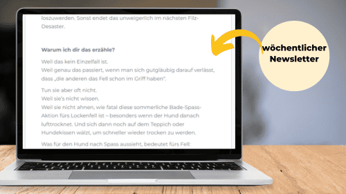 Felltraum Hundeblog: Entspannende Tipps für Hundebesitzer, inklusive Bade-Spaß und Balancierübungen, um die Beziehung zwischen Mensch und Hund zu stärken und das Wohlbefinden Ihres Hundes zu fördern.