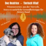 Hunde-Podcast Felltraum mit Doc Beatrice und Bettina, Tiergesundheit, Naturtipps, Tierwissen, Hundegesundheit, Hundestories, Tierwelt, Wellness für Hunde, Gesundheitstipps für Hundebesitzer.
