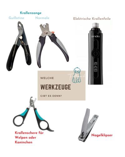 Übersicht verschiedener Werkzeuge zum Kürzen von Hundekrallen: Guillotine-Krallenzange, normale Krallenzange, elektrische Krallenfeile (Dremel), Krallenschere für Welpen oder Kaninchen und Nagelklipser. Beschriftet mit Empfehlungen zur richtigen Verwendung.