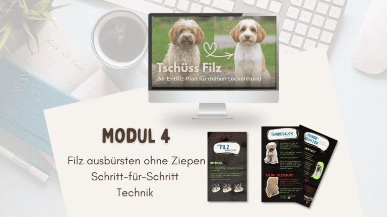 Schritt-für-Schritt Anleitung zum Filz ausbürsten ohne Ziepen bei Doodle oder Lockenhund – Modul 4 aus dem Onlinekurs Tschüss Filz