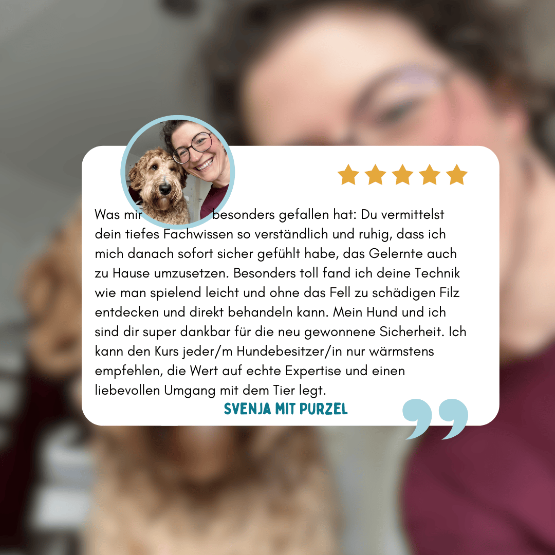 Kundenstimme zum Onlinekurs Tschüss Filz – Erfahrung zur Fellpflege beim Australian Cobberdog
