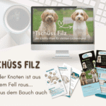 Tschüss Filz Onlinekurs – Schritt-für-Schritt Anleitung gegen verfilztes Hundefell bei Doodle, Pudel und Lockenhunden