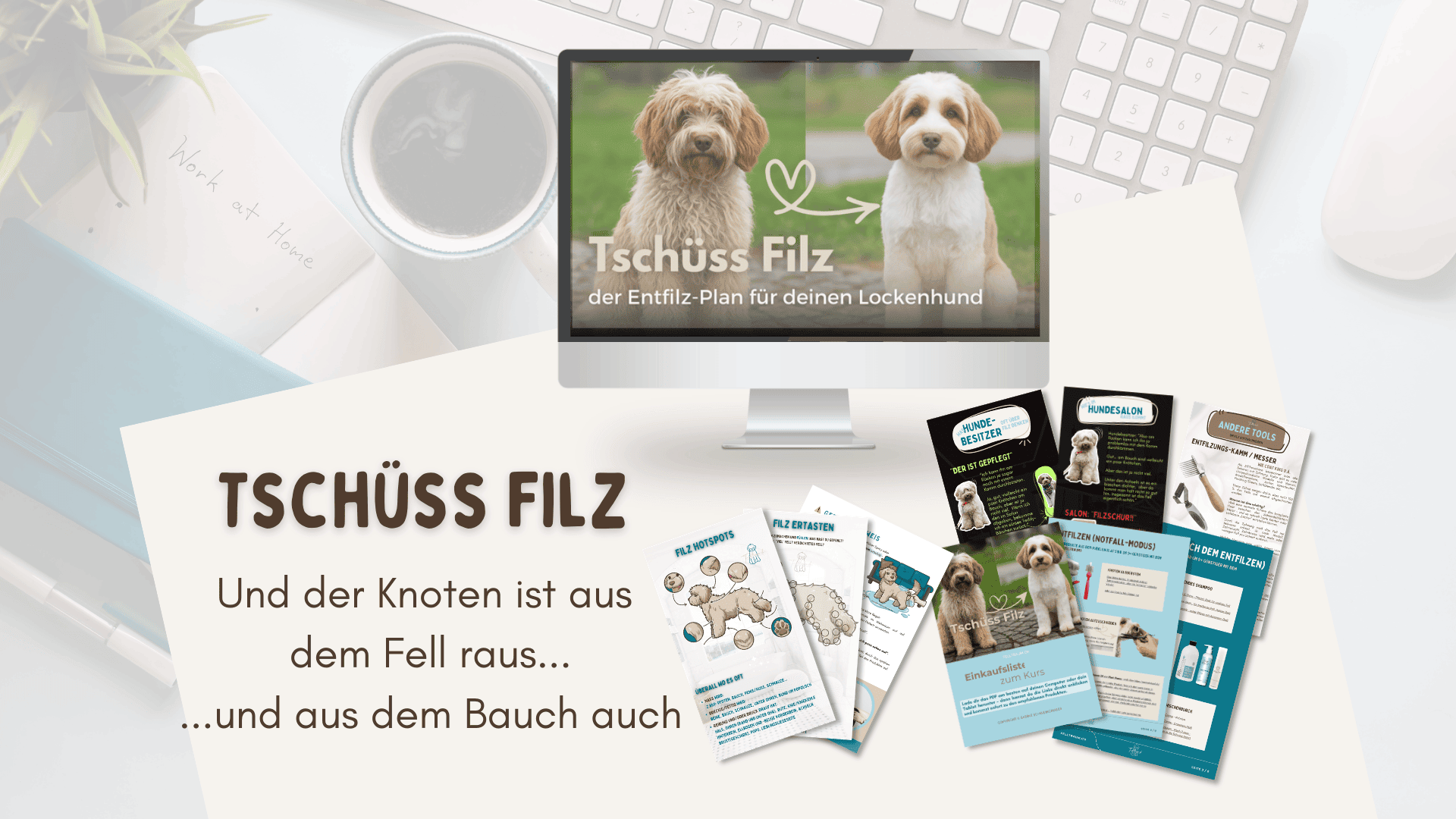 Tschüss Filz Onlinekurs – Schritt-für-Schritt Anleitung gegen verfilztes Hundefell bei Doodle, Pudel und Lockenhunden