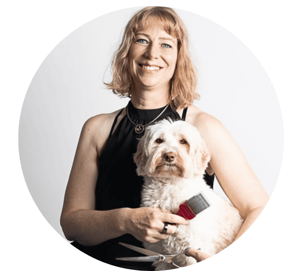 Sabine Schweingruber mit Doodle beim Bürsten und Scheren – Expertin für Filz bei single coated Hunden.