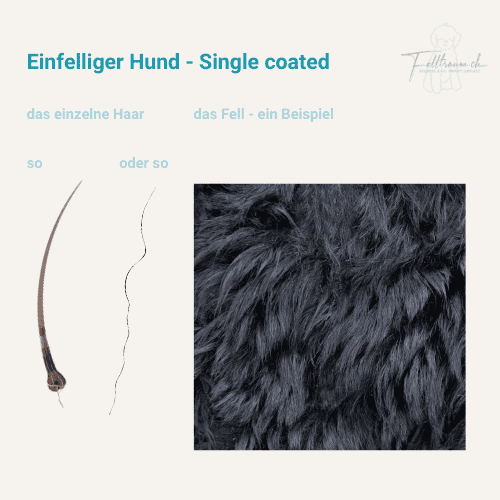 Single coated black dog fur, close-up of shiny, textured fur for grooming or styling, high-quality, natural pet hair for grooming products, felltraum.ch.