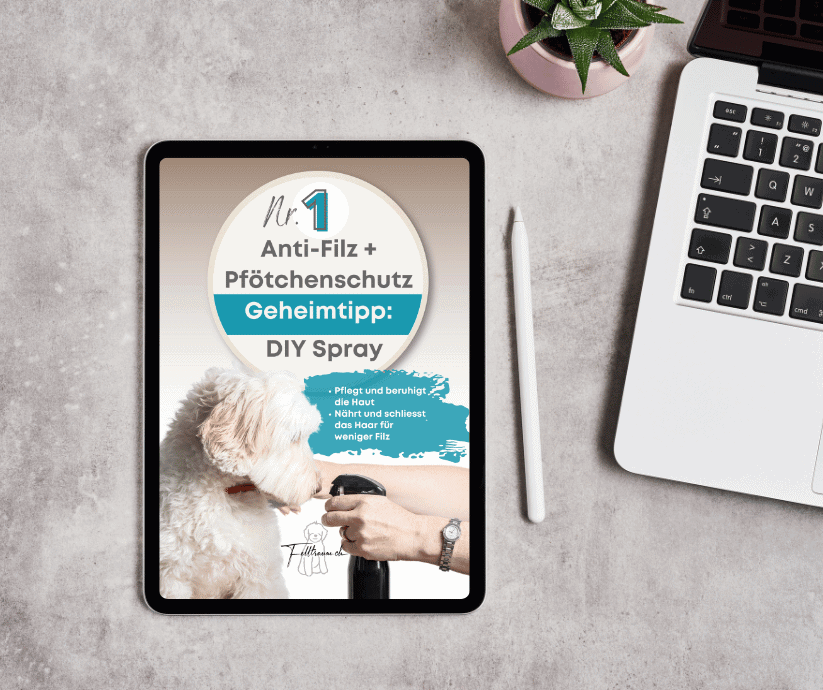 Anti-Filz und Pfötchenschutz DIY Spray für Hunde, wirksamer Schutz gegen Filzbildung und Pfotenverletzungen, pflegt die Haut, nährt das Fell und sorgt für weniger Filz – Felltraum.