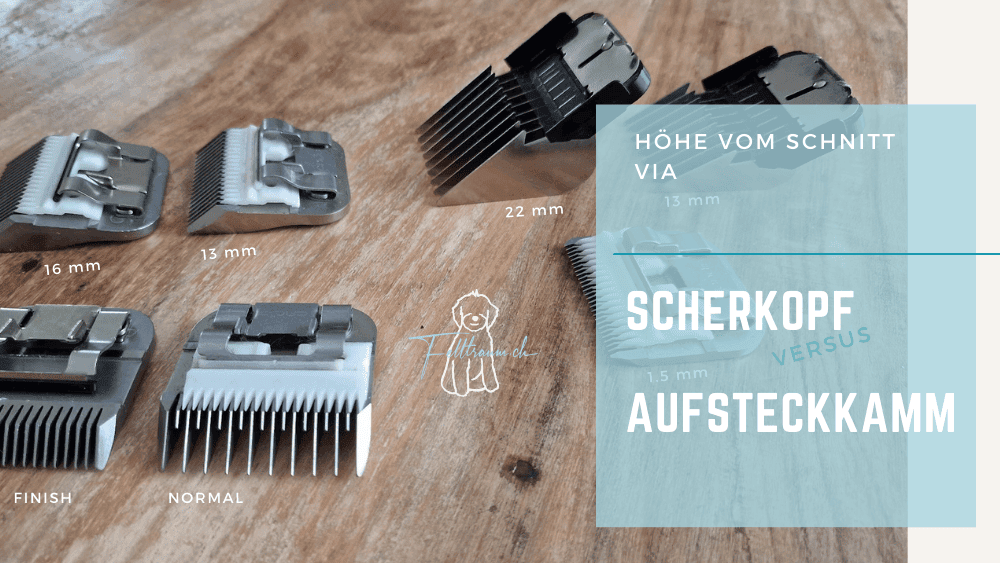 Hochwertige Haarschneideschneidemesser mit unterschiedlichen Schnittstärken für professionelle Friseurbedürfnisse. Verschiedene Kamm- und Messertypen für präzises Schneiden.