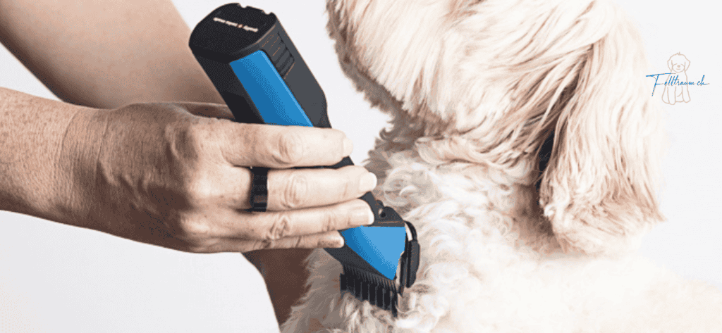 Sanfter Hundepflege mit elektrischem Haarschneider, professionell für langes Hundegesicht und Fellpflege, bei Felltraum.ch.