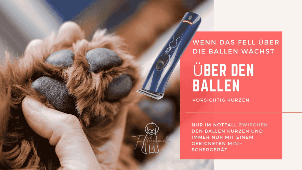 Hundefell im Einsatz beim Haareschneiden, Fellpflege, Hundepflege, Profi-Haarschneider, Haustierpflege.