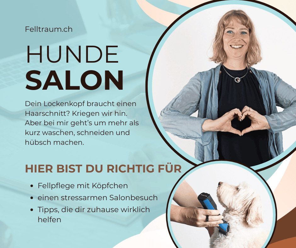 Hundesalon Felltraum in Aadorf für Pudel, Doodle und andere Lockenhunde – stressarme Fellpflege, Schneiden und Tipps für zuhause