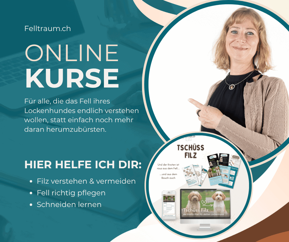 Online-Kurse von Felltraum für die Fellpflege von Pudel, Doodle und anderen Lockenhunden